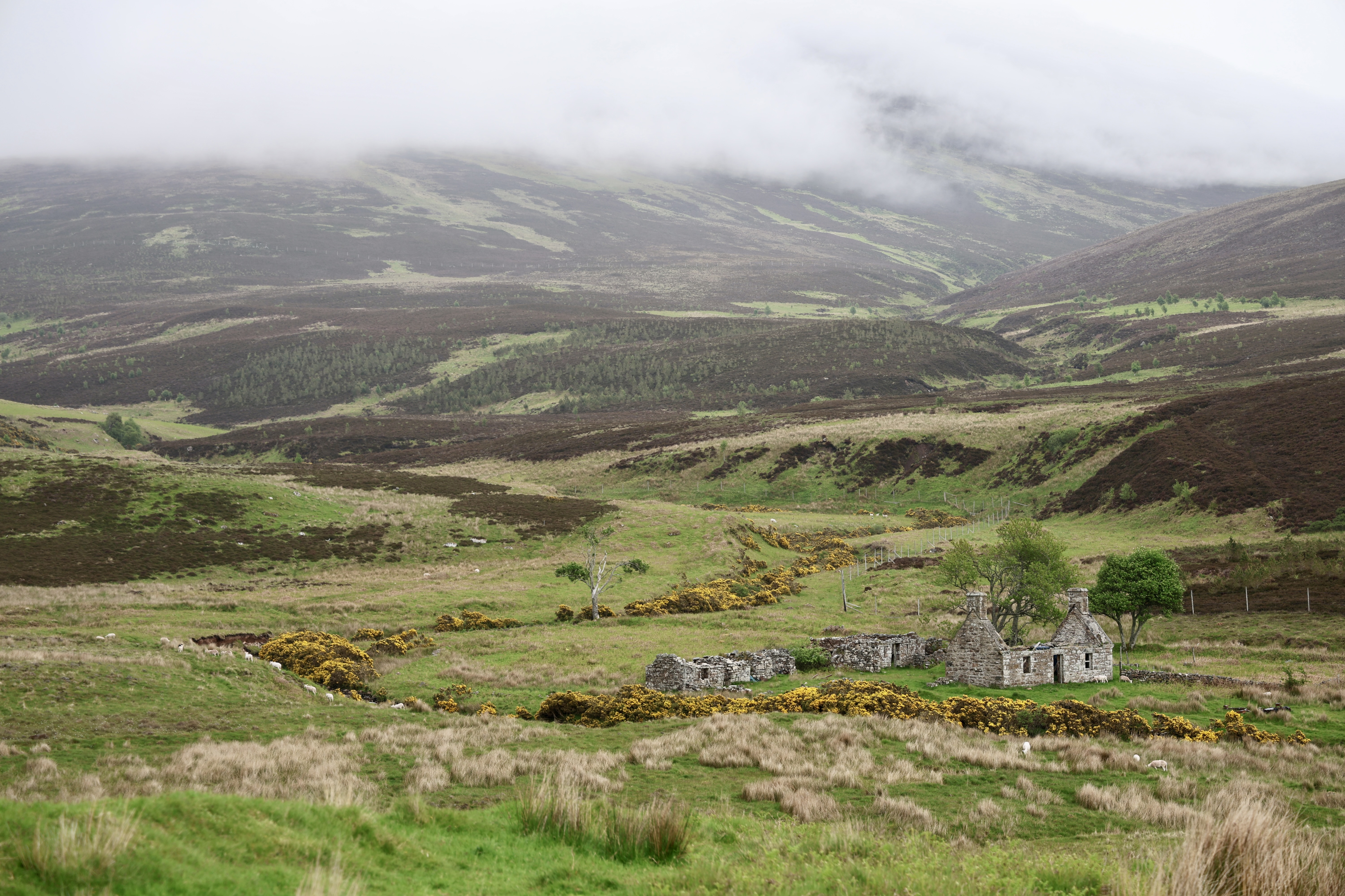 View along "Unnamed Road" in the Highlands